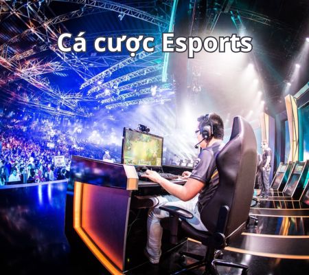 Tỷ Lệ Kèo Esport 789BET: Cá Cược Esports Online Uy Tín Hàng Đầu